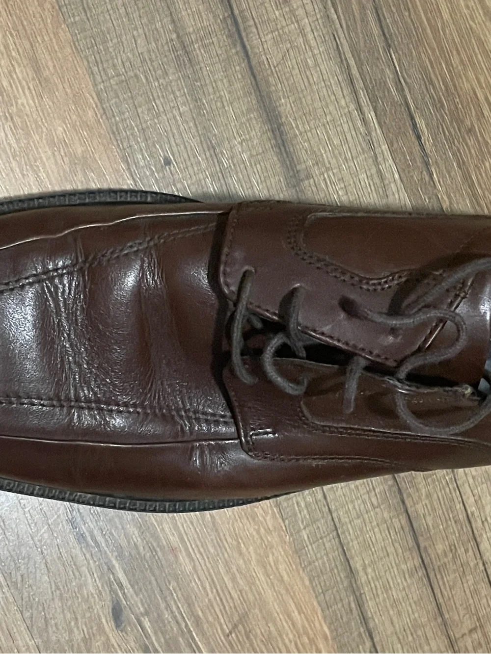 Bostonian men’s brown
